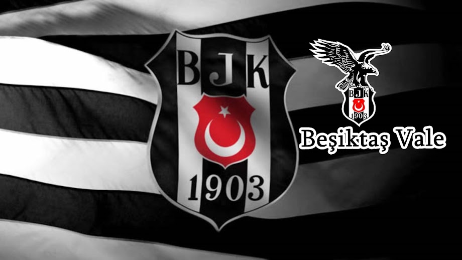 Beşiktaş Vale