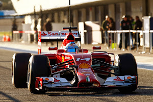 Fernando Alonso - Profile Picture