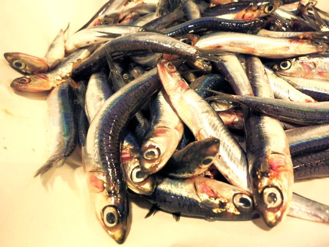 Sarde con l'indivia - Sardines and Endive Sarde con l'indivia - Sardines and Endive