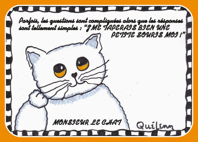 MONSIEUR LE CHAT ET MOI MONSIEUR LE CHAT ET LA TRANSCENDANCE