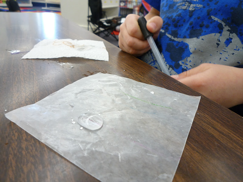 Team Spata What Happens When Paper Gets Wet?