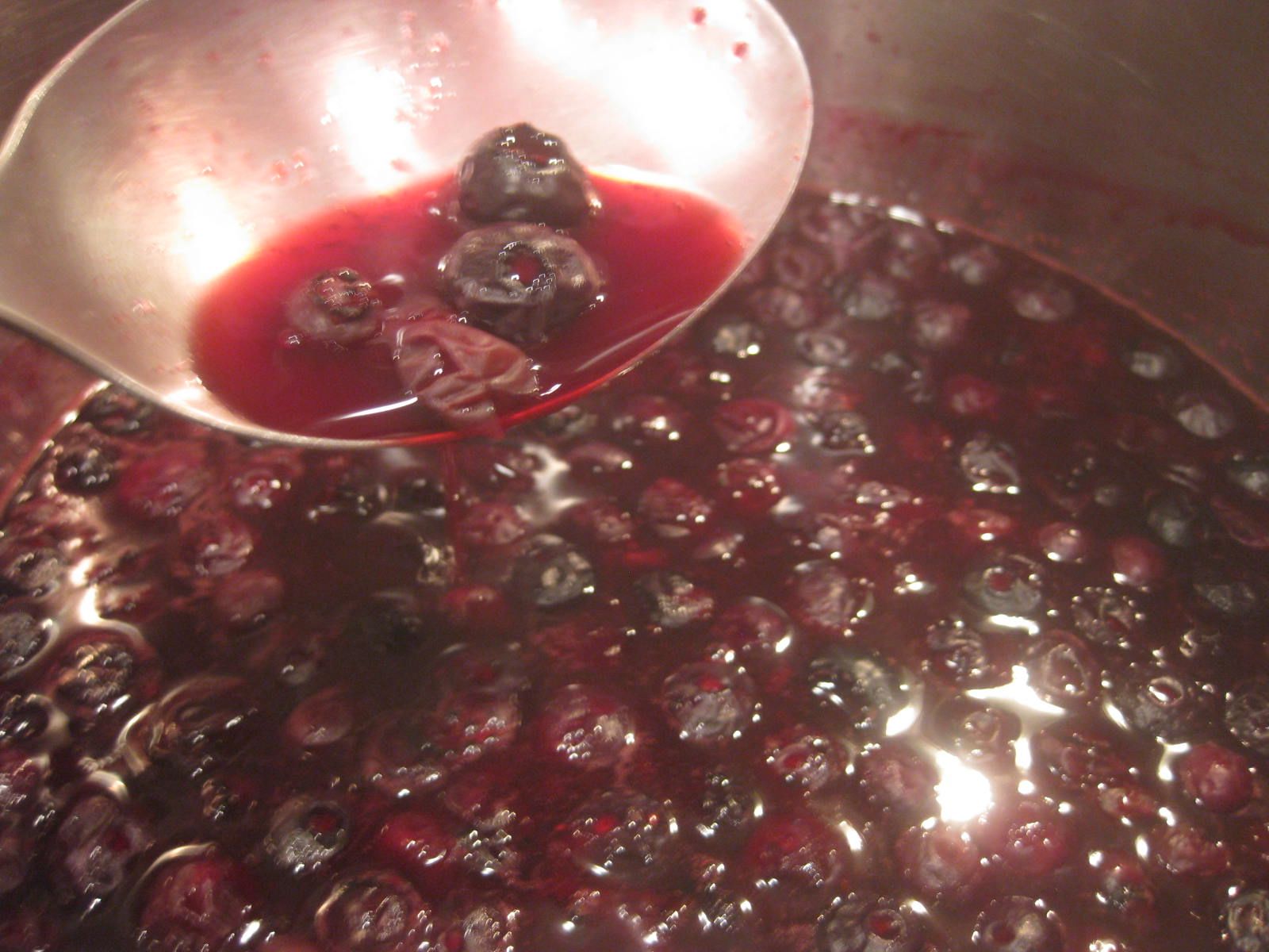 Recipe XChange blueberry gummies a healthy treat!