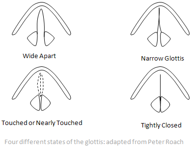 Open Glottis