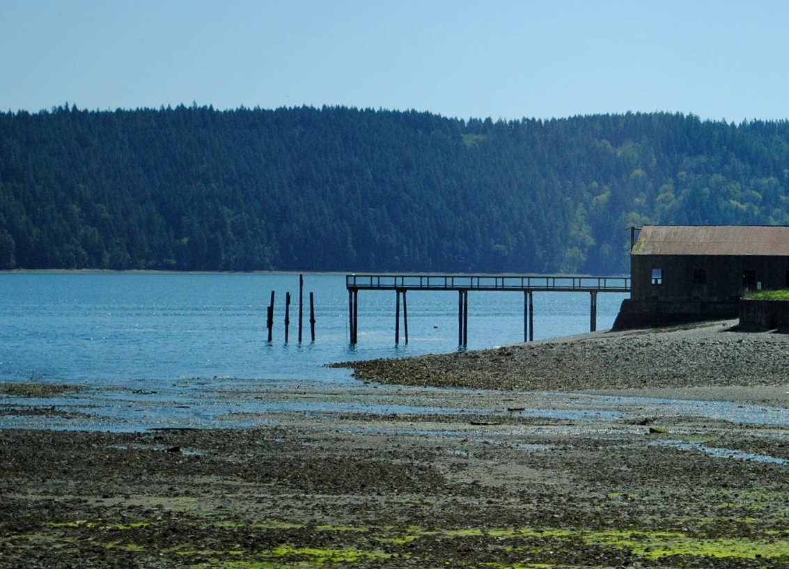 Aimee on the Mountainside Climbing Life's Mountain Hood Canal