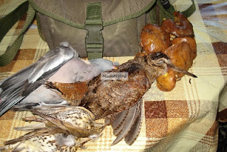 Carniere ricco beccaccia colombaccio tordi e funghi pinaroli