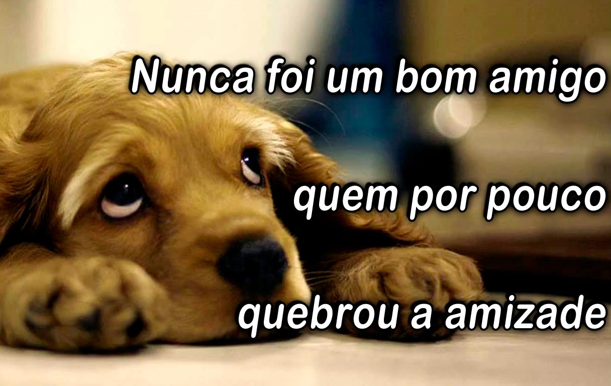 Frases de Ditados Populares - Frases Curtas