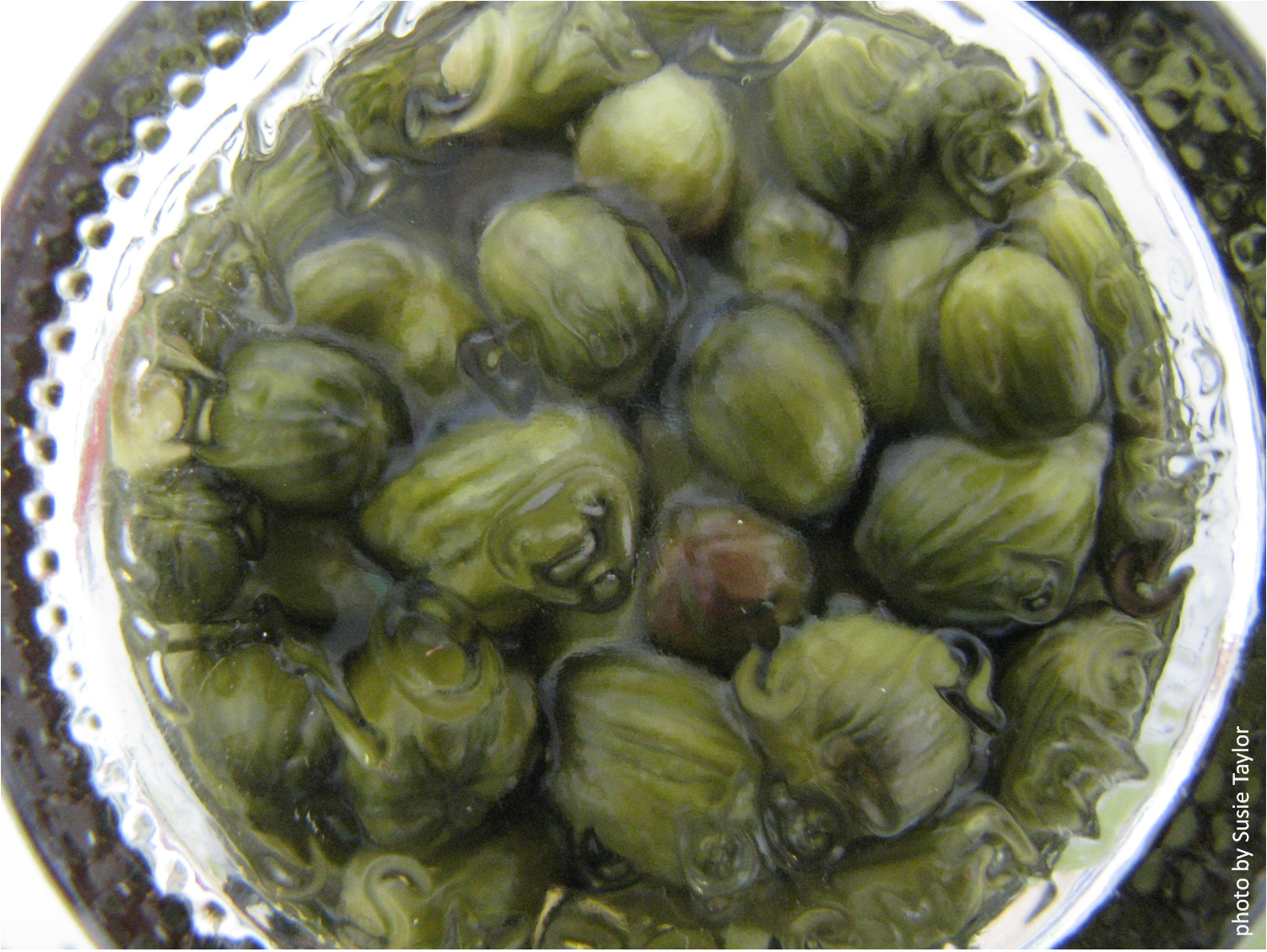 The Moose Curry Experience Dandelion Capers (quickpickled dandelion