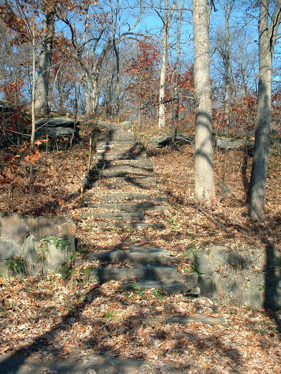 Frank's Place Rocky Glen Park