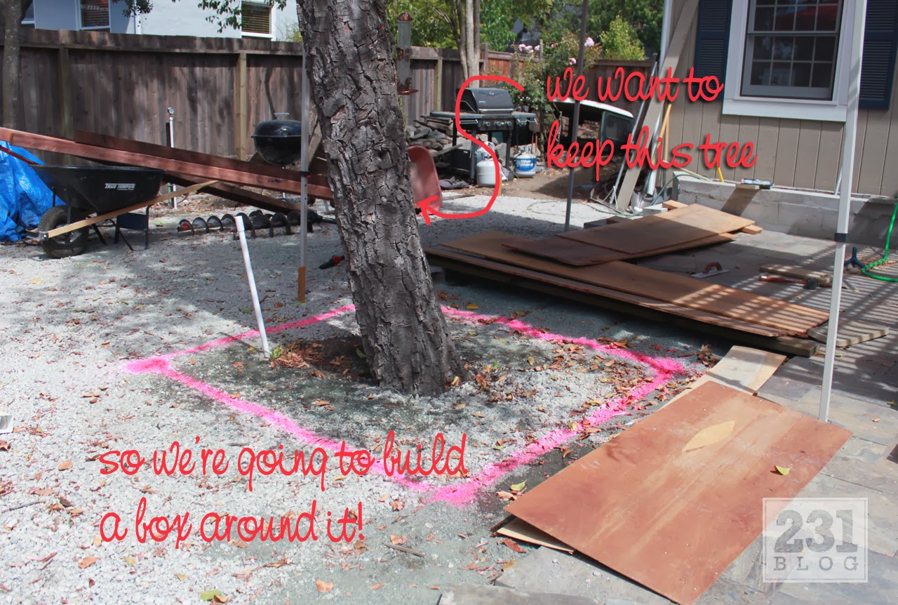 231 Designs Planter Box With Seating Around The Alder Tree Part 1 On The Ground In Pink Above Making Sure That There Was Enough Clearance For A Person To Easily Walk Patio All Way Around Planter Box