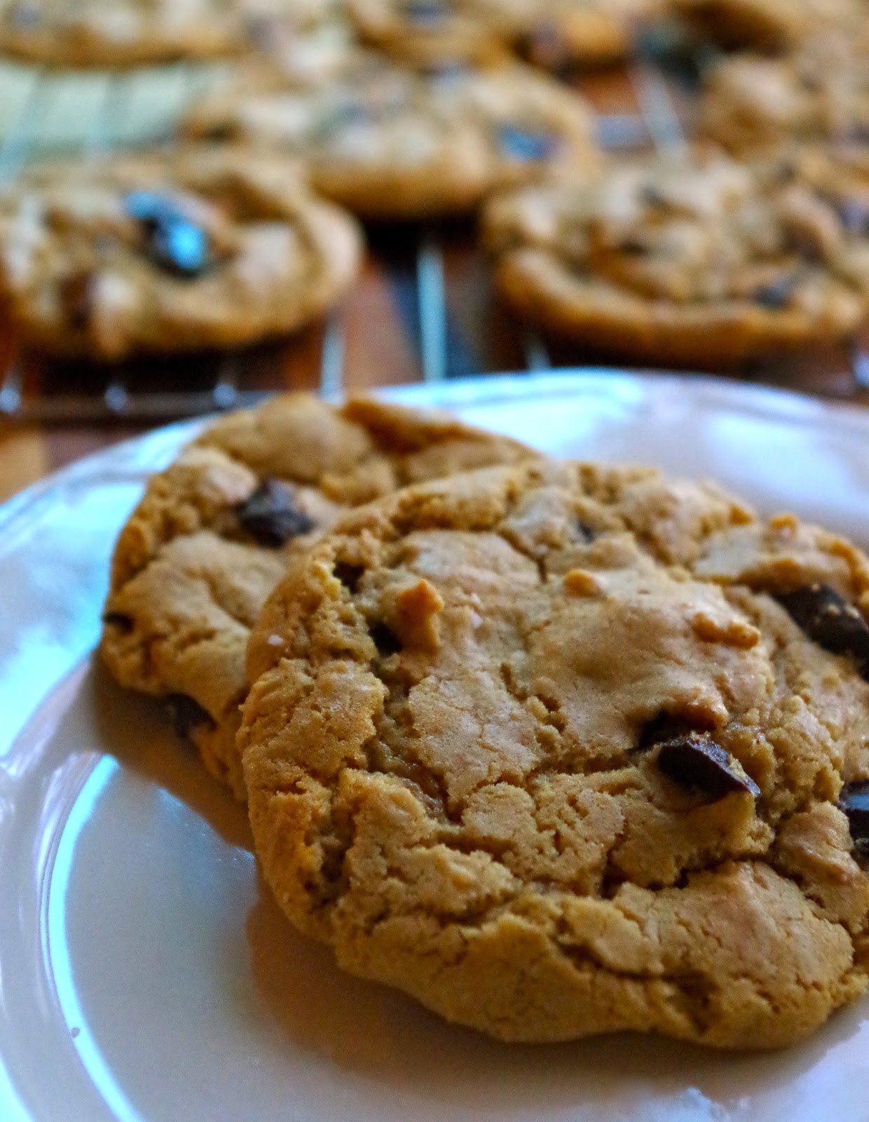 Seven Spoon's Chocolate Chip Cookies