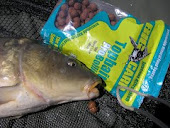 BIG CARP D 88 HIDRO LIVER