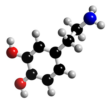 dopamine hypthesis dopamine hypthesis