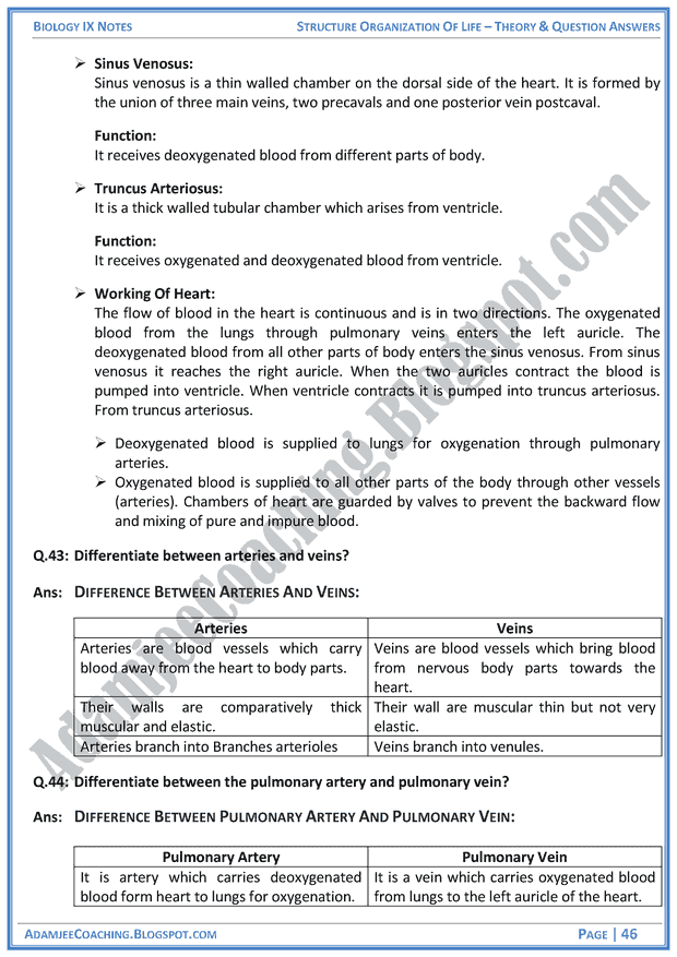structural-organization-of-life-theory-notes-and-question-answers-biology-notes-for-class-9th