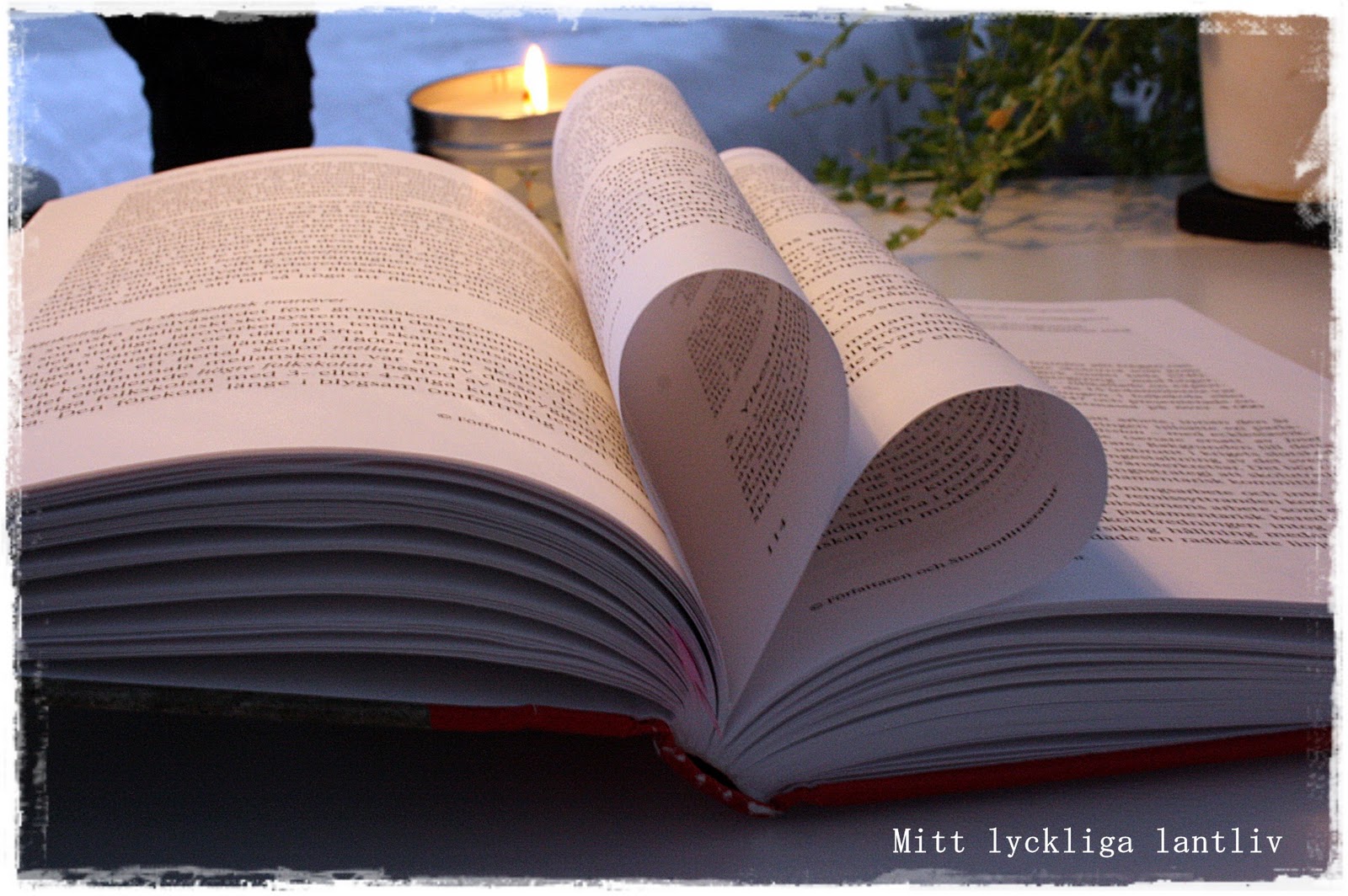 Mitt Lyckliga Lantliv Plugga plugga plugga...