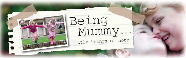 Being Mummy Little things of note