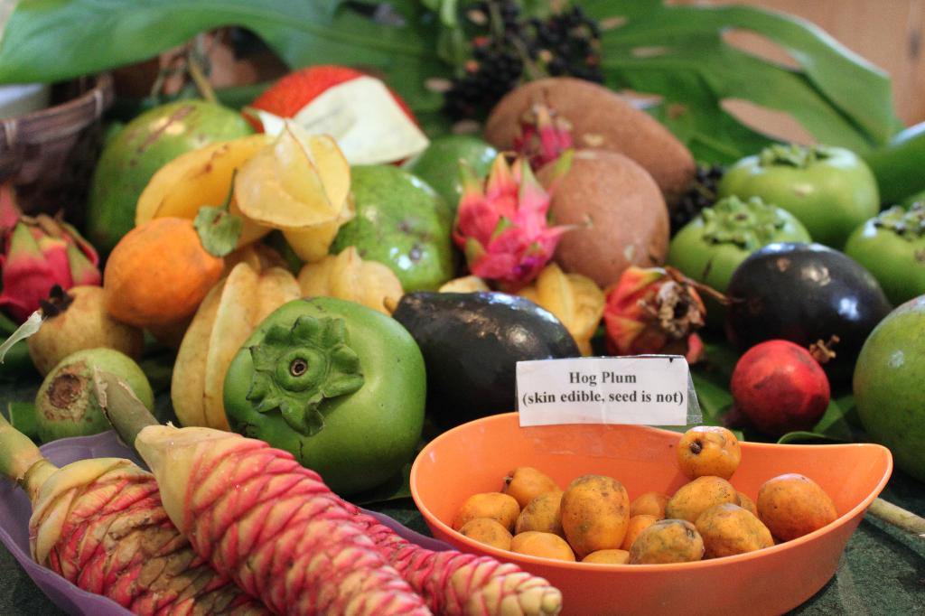 the gd kitchen miami's fruit and spice park!