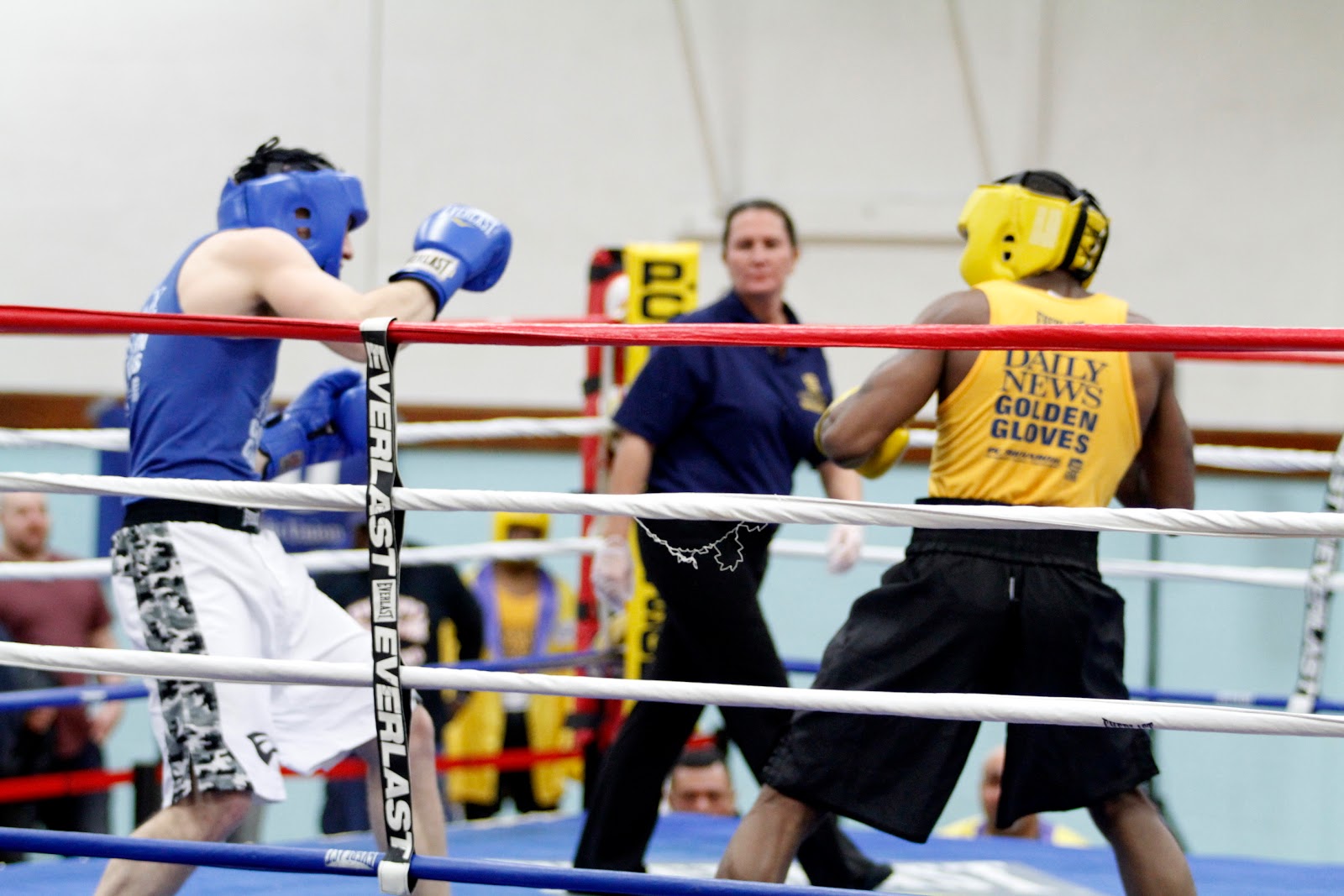 PichaDis MultiMedia Daily News Golden Gloves Hempstead NY