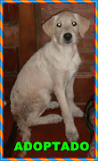 MATEO ADOPTADO!!!