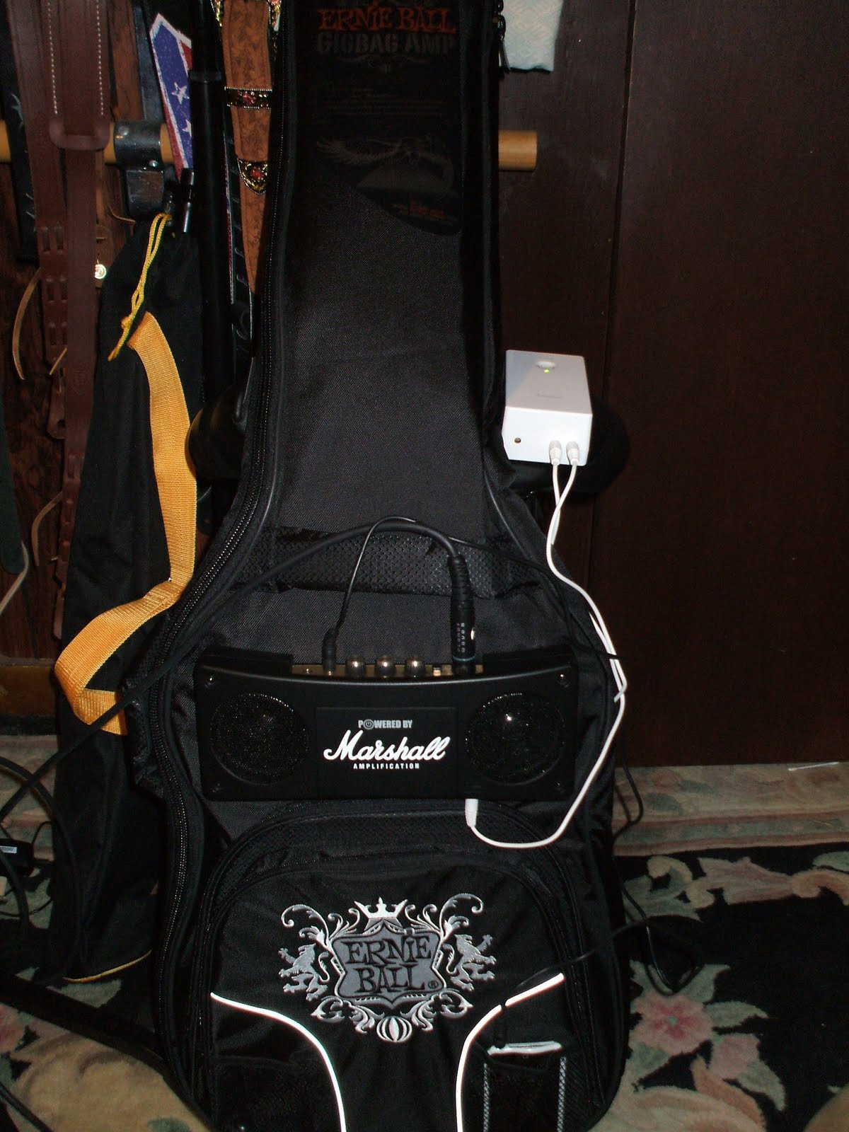 The New Eclectic Sound Experience Ernie Ball Gig Bag Amp & Touring Gear