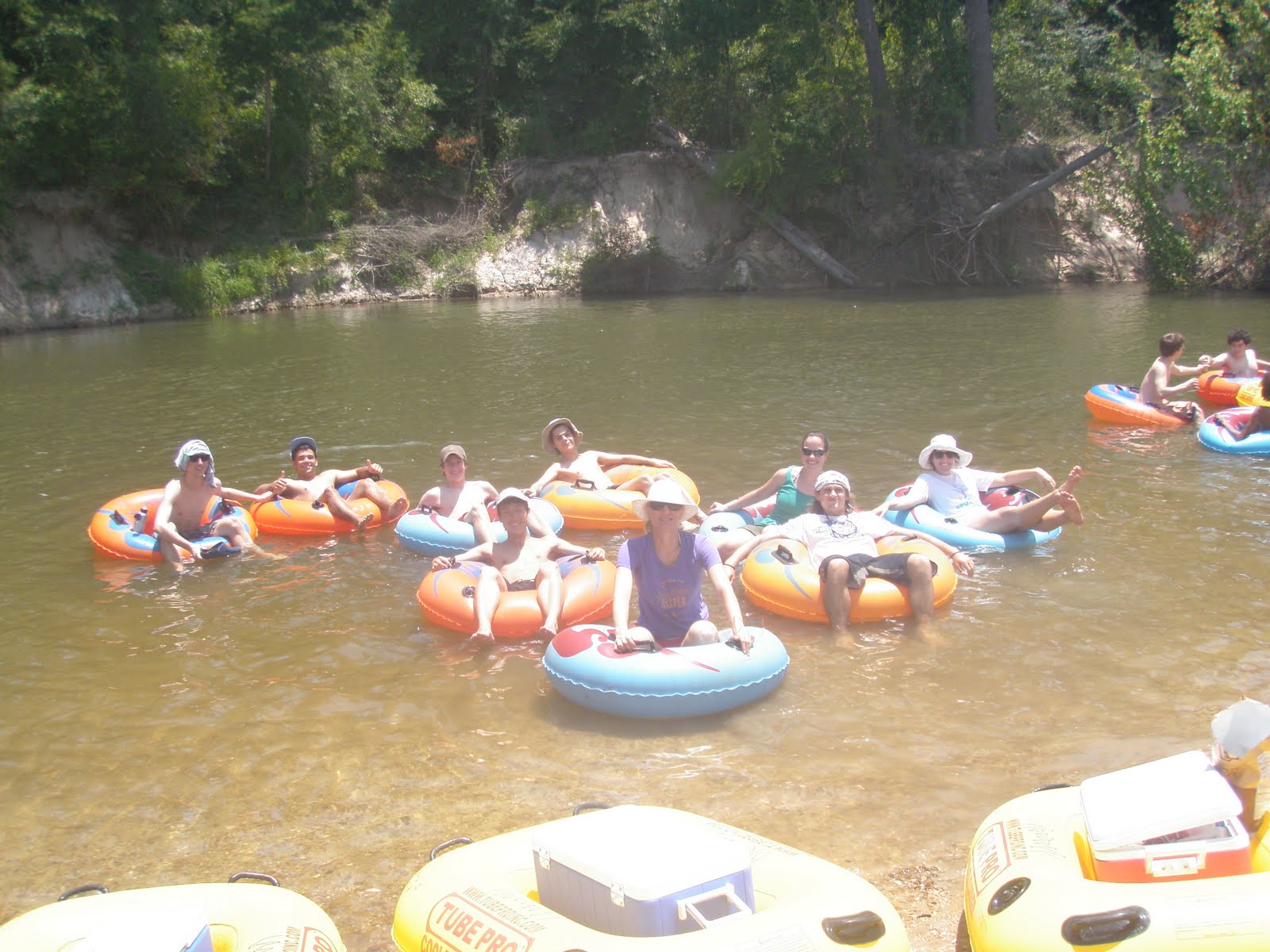 Come Fly With Me Wayne's World