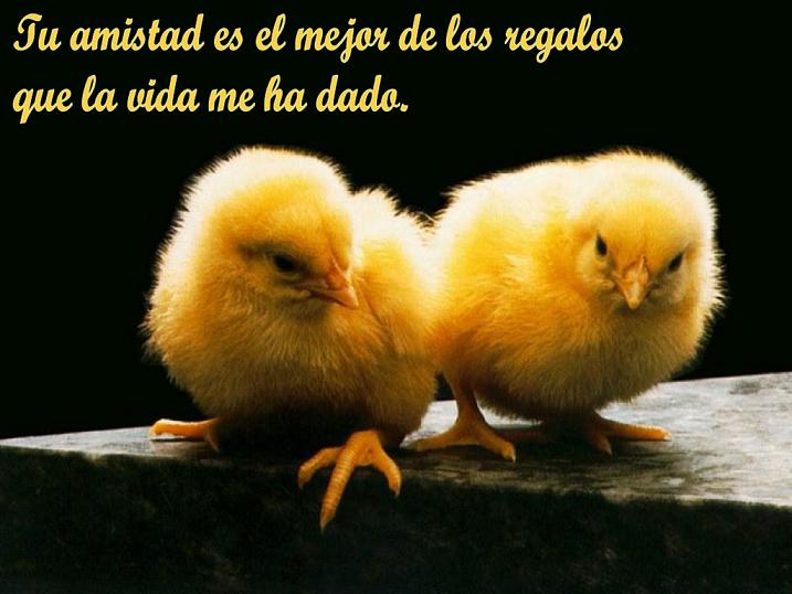 HICISTE SENTIR LETRA hiciste sentir letra: