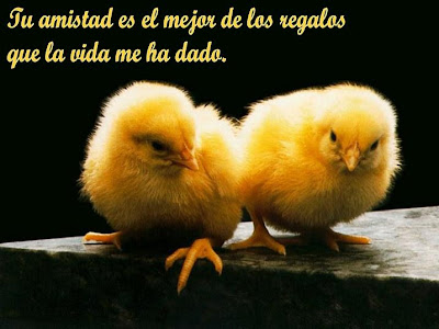 http://4.bp.blogspot.com/-xpf8aEOBgGc/ThFQZFYelQI/AAAAAAAAAPQ/WE-fYqFUZmo/s320/amistad.jpg