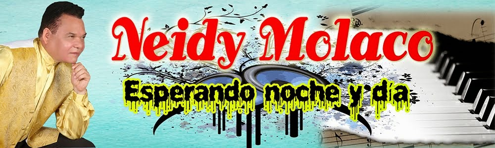 Neidy Molaco - Esperado Noche y Día (Bachata 2015) Descargar Gratis