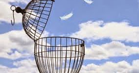 Freedom Means To Me...