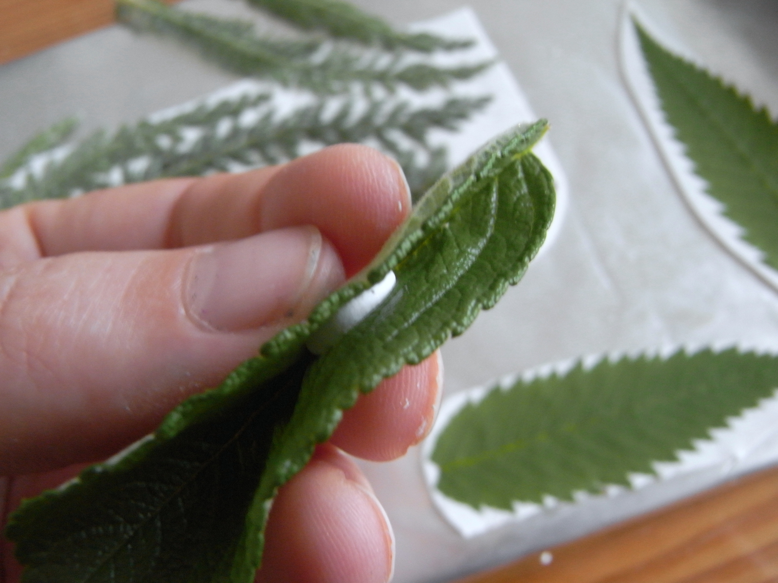 saraccino Shiny leaves polymer clay, new molds and how to make them