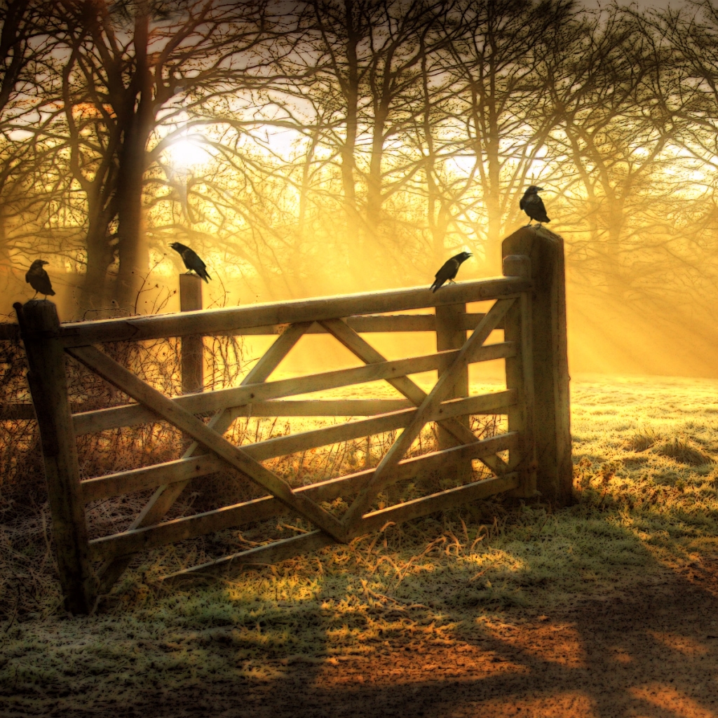 Online Games & Free Wallpaper: Iphone ipad mac cellphone wallpaper