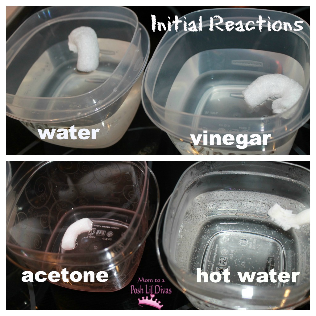 To begin the experiment we simultaneously dropped one (1) packing