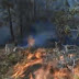 Fuego forestal produce graves daños a Parque Nacional Juan Bautista Pérez Rancier