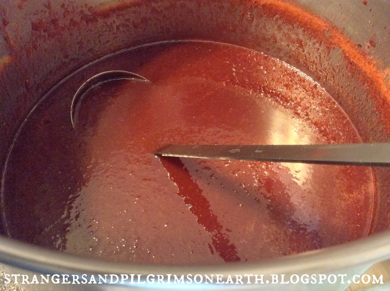 Strangers & Pilgrims on Earth How to Can Plum Sauce and Plum Jam {DIY