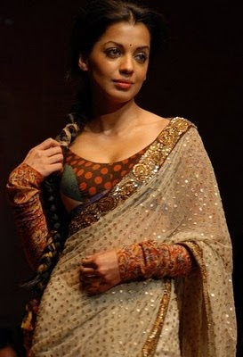 Designer Blouse