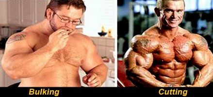Tren vs steroids