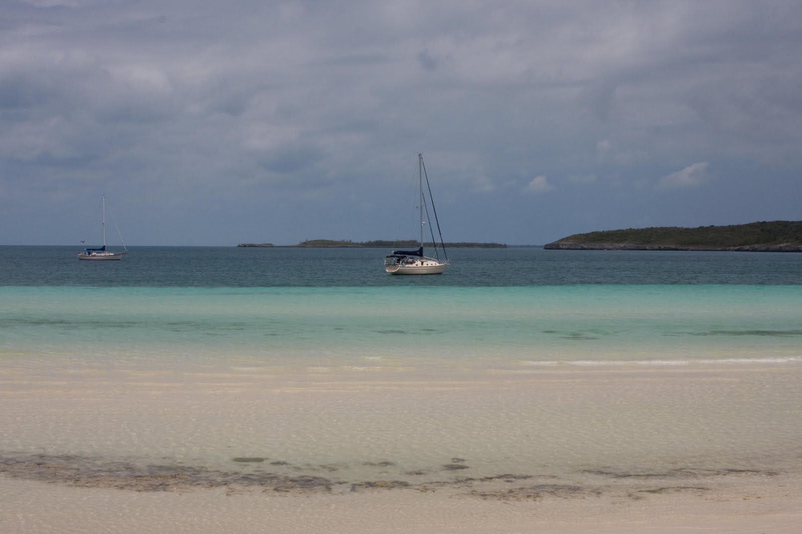plodding in paradise A BRUSH WITH GOVERNOR'S HARBOR