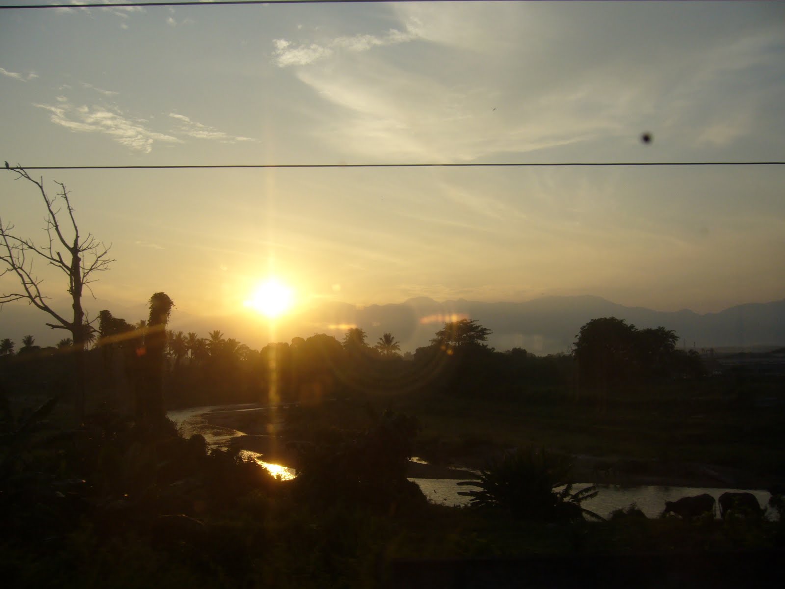 If time flew like a dove, it'll fly faster than I'm falling in love