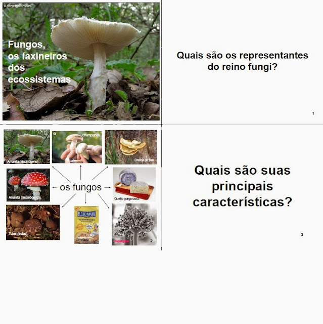 O prego cultivado na criança tratamento nacional