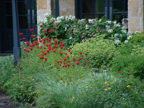 Perennials for Fragrant Gardens
