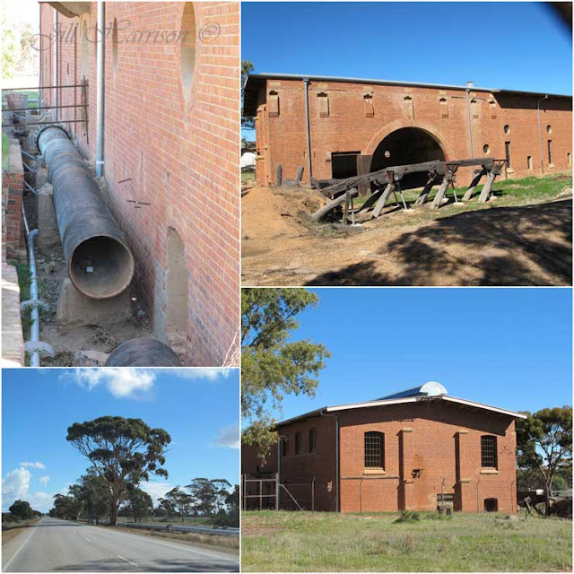 Life Images by Jill The need for water on the goldfields Perth to