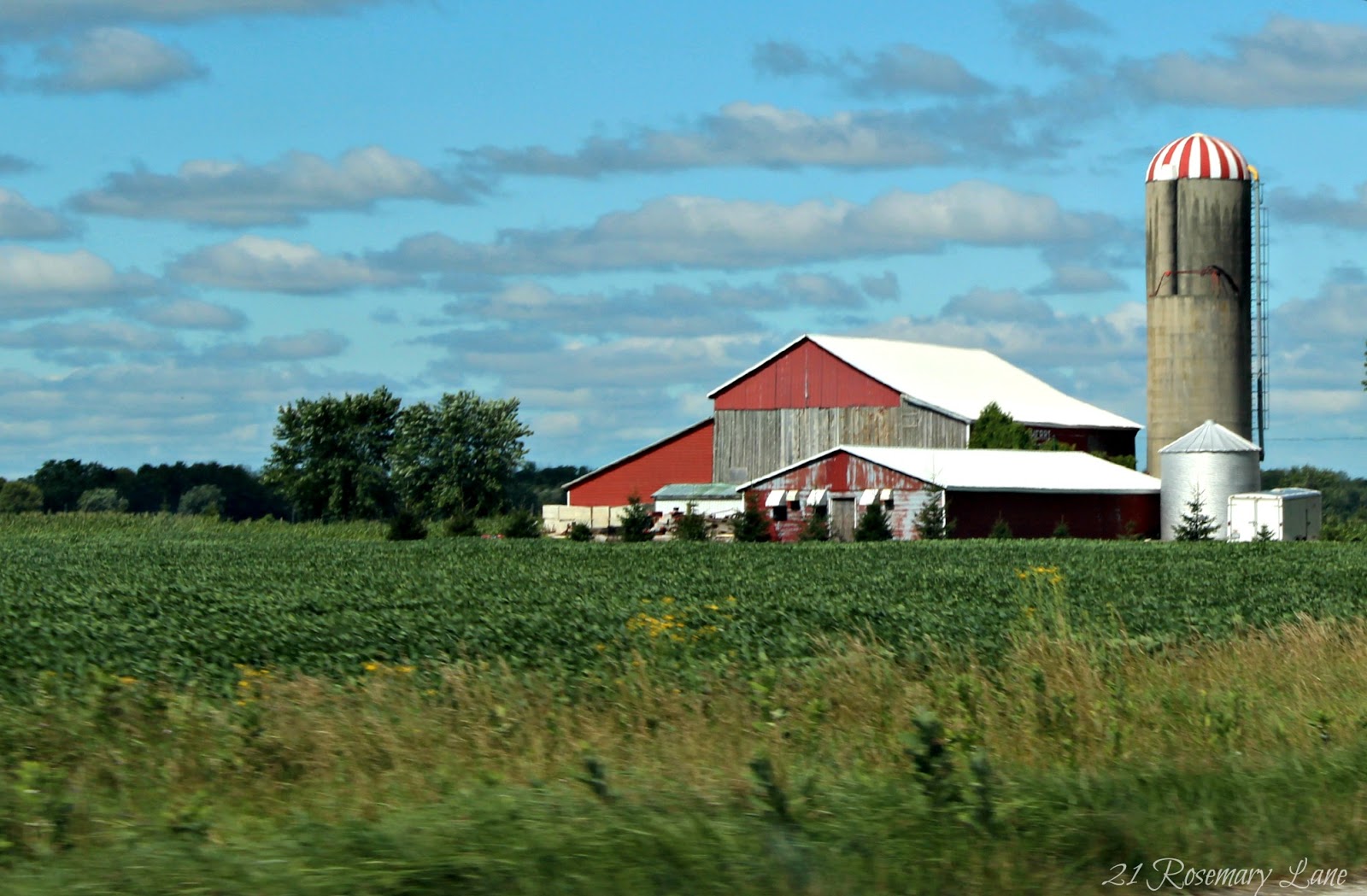 21 Rosemary Lane Images from the Side of the Road