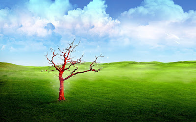 Green earth Widescreen Wallpaper