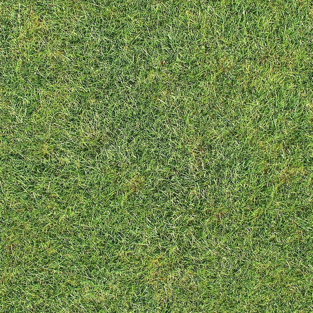 Texture Grass 3D Models , Texture , Tutorial 3Ds Max , Maya