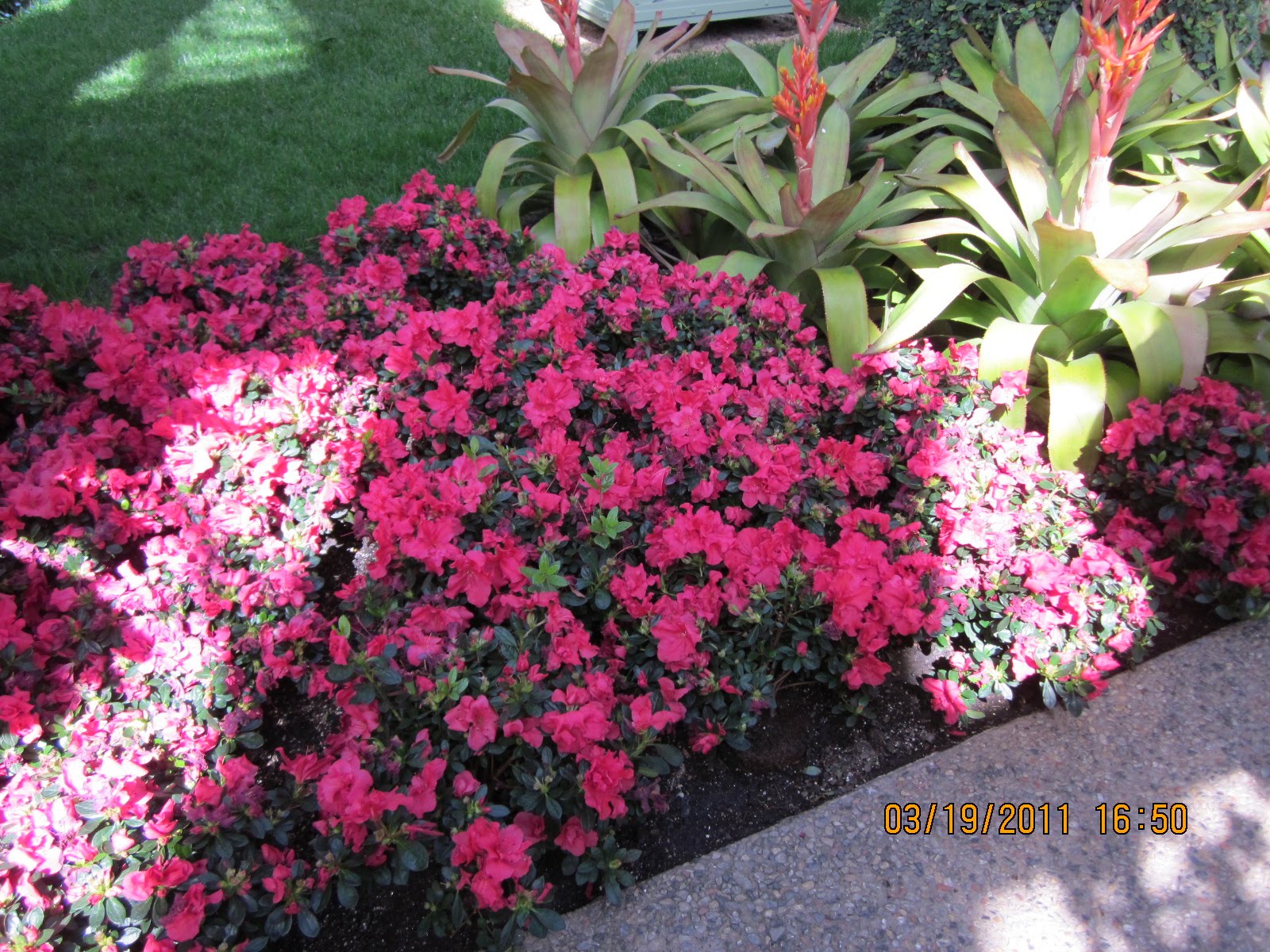 Princess Pelagie Yussuf