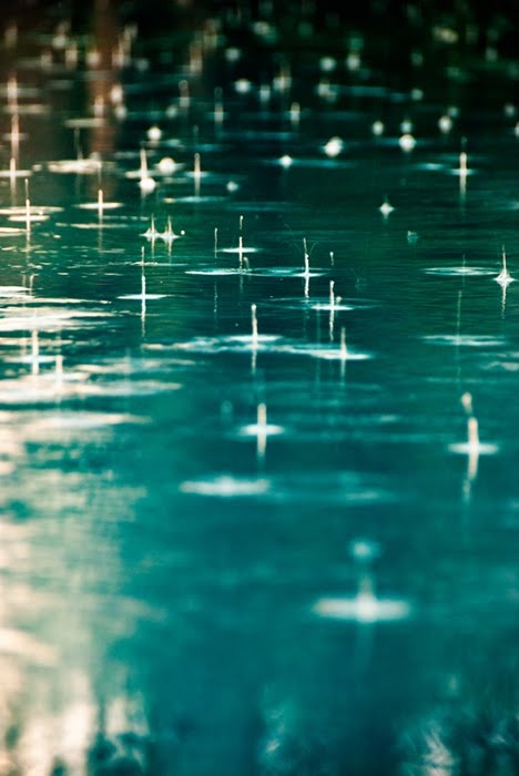 Raindrops Falling Raindrops Falling