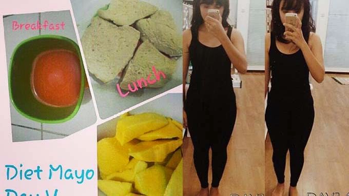Apa Itu Diet Mayo ?