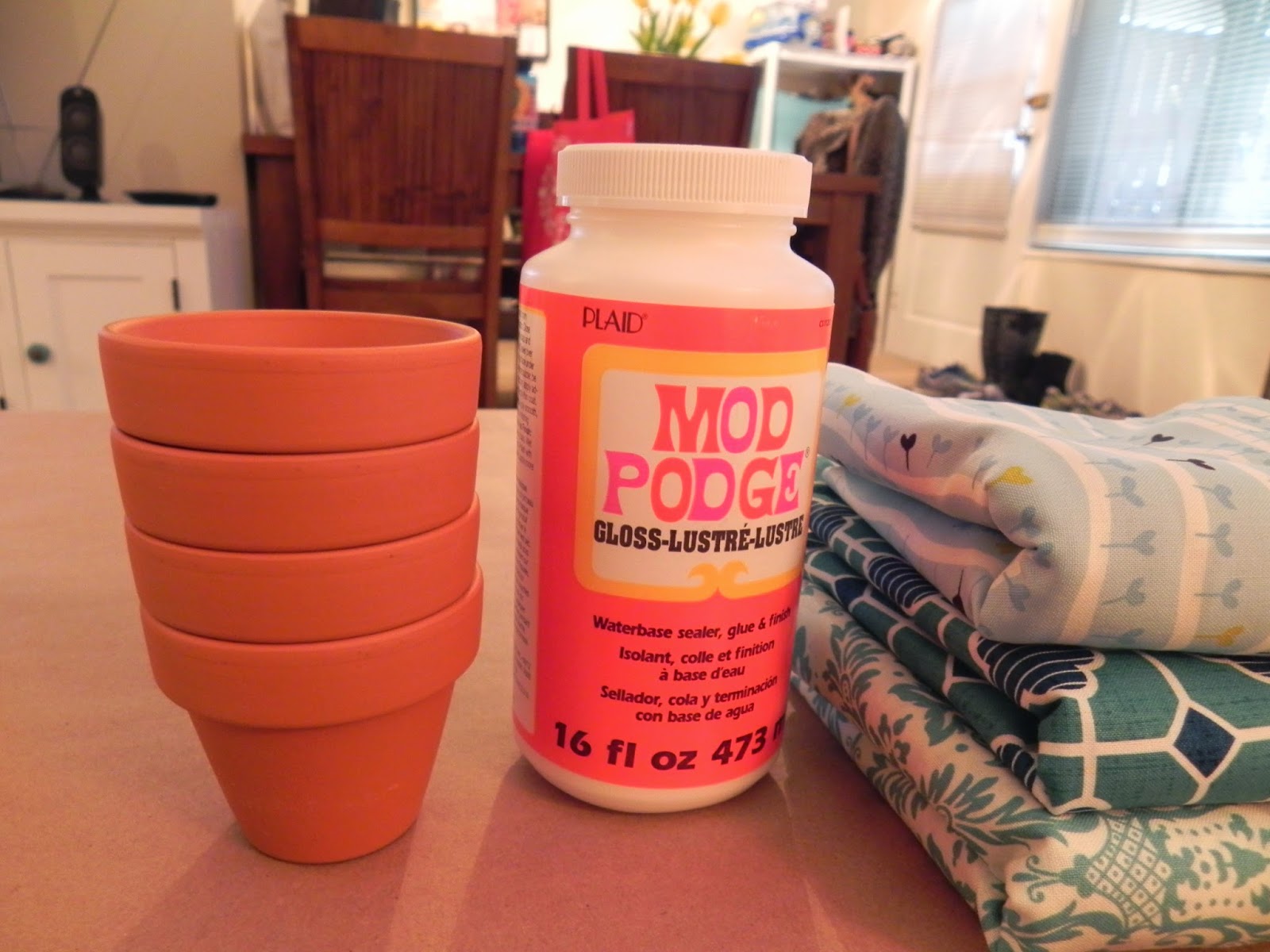 The Babes Ruth Mini Potted Plants // Baby Shower Favors