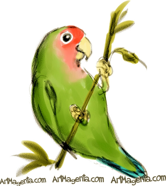 Rosy-faced Lovebird Rosy-faced Lovebird sketch painting. Bird art drawing by illustrator Artmagenta.