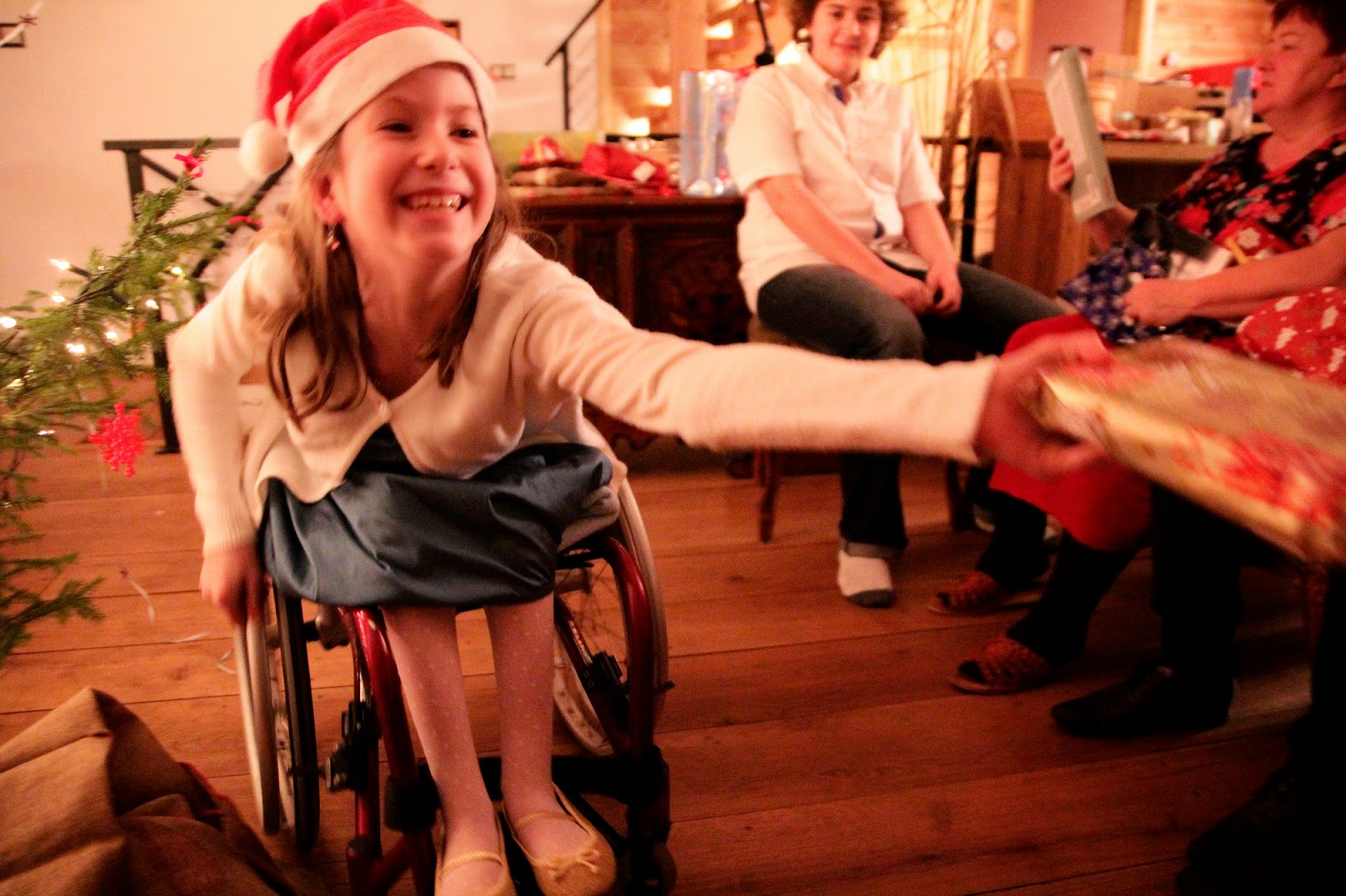 Gwiazdka w Puszczy - Ania w Podróży