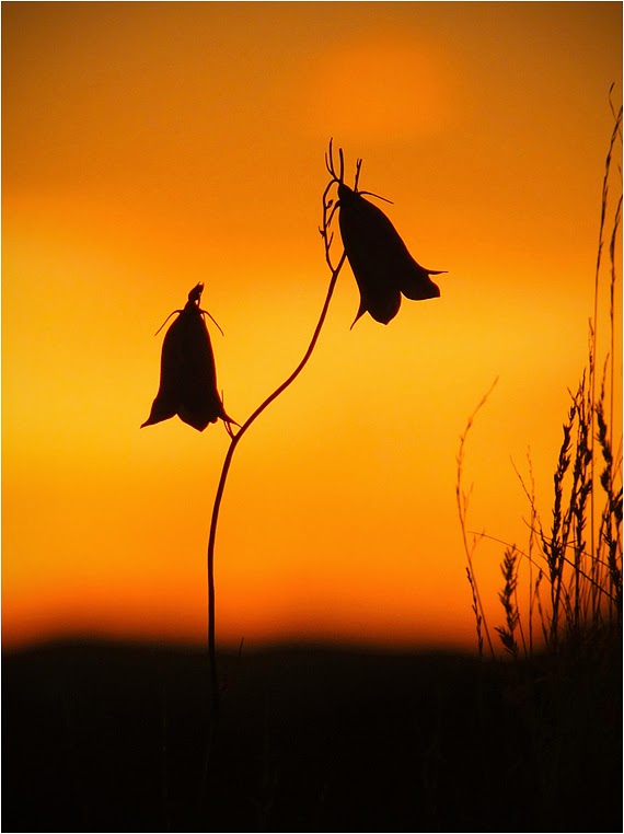 emphoka, photo of the day, Russell Bain, Fujifilm X-S1 emphoka, photo of the day, Russell Bain, Fujifilm X-S1